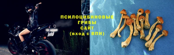 мдпв Новозыбков