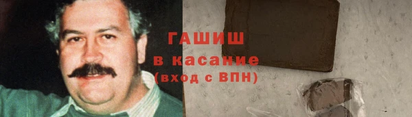 мдпв Новозыбков