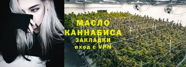 мдпв Новозыбков