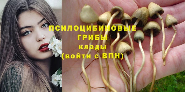 мдпв Новозыбков