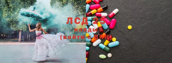 мдпв Новозыбков
