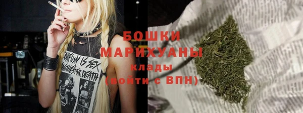 мдпв Новозыбков