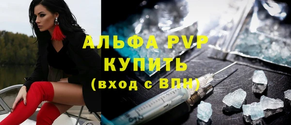 мдпв Новозыбков