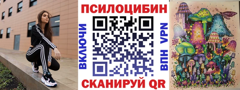 наркошоп  Искитим  Псилоцибиновые грибы Cubensis 