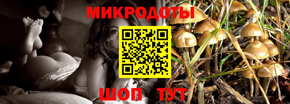 Галлюциногенные грибы мицелий  Вход с VPN  Псилоцибиновые грибы мицелий  Искитим 